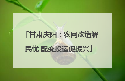 甘肃庆阳：农网改造解民忧 配变投运促振兴